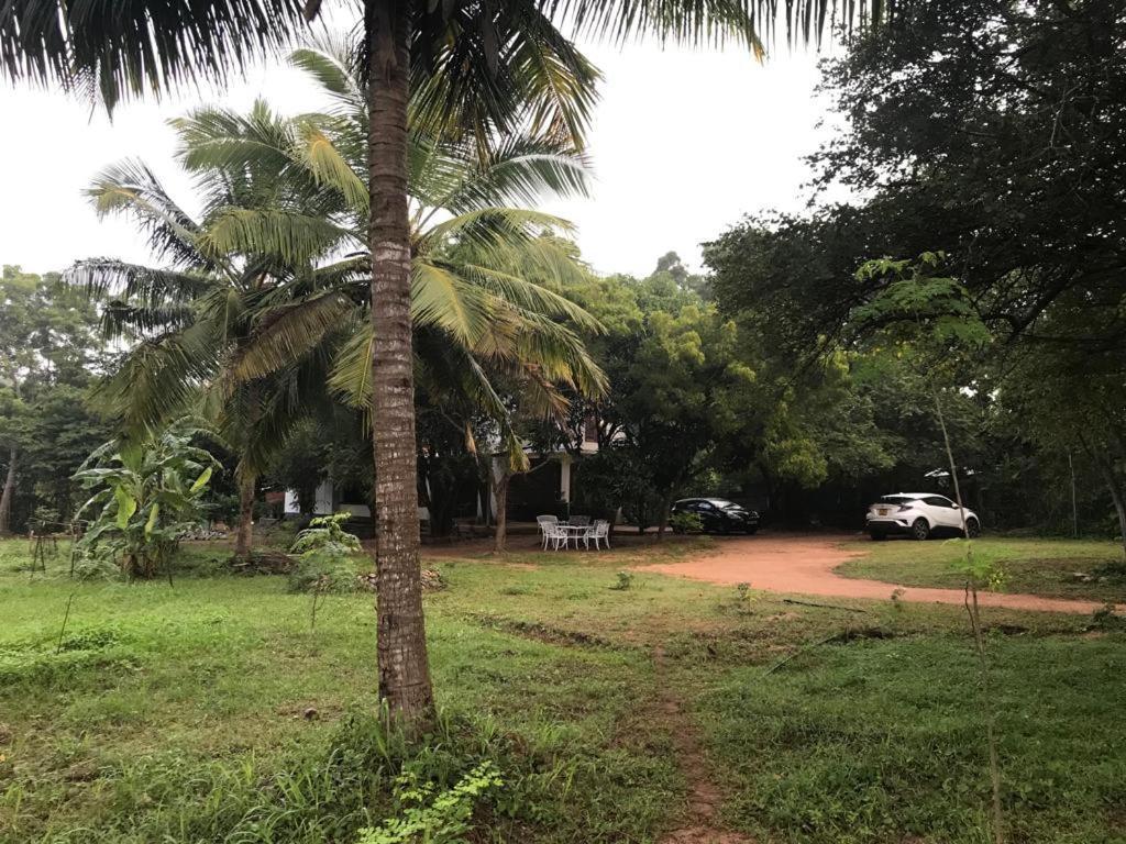אנוראדפורה Nuwara Wewa Holiday Resort מראה חיצוני תמונה